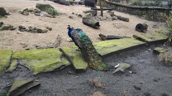 Tierpark Hamm
