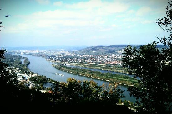 Leopoldsberg-hegy