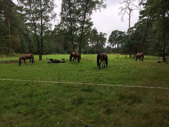 Manege Arnhem