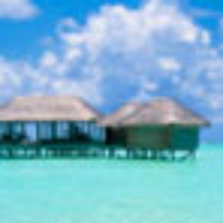 My Cafe