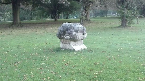 Wolke Wirbel