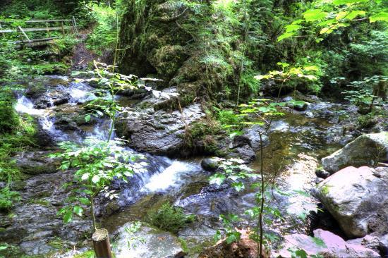 Todtmoos-Wasserfall