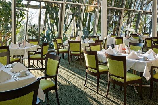 Restaurant Lemon