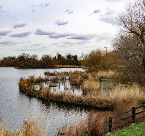 Walthamstow Wetlands