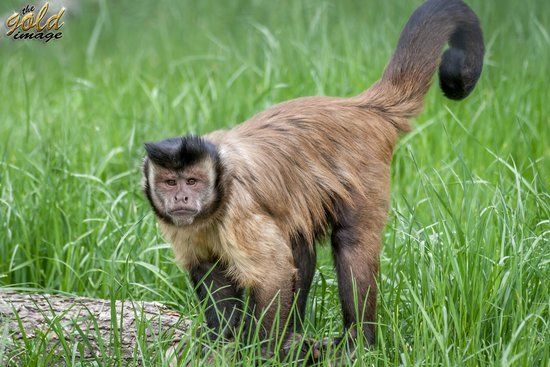 Oradea Zoo