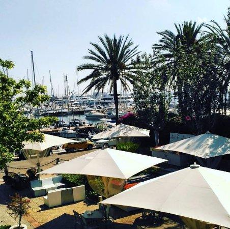 Bar La Marina
