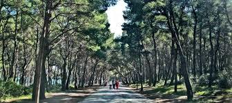 Waldpark Marjan