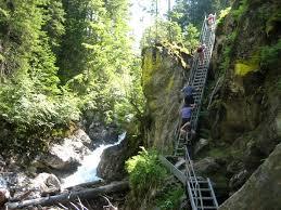 Wilde Wasser Weg