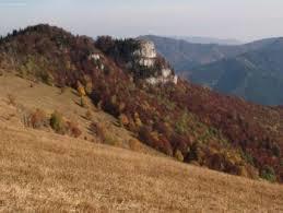 Majerova skala