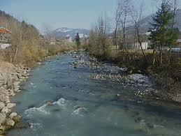 Bolgenach
