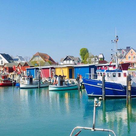 Bude 8