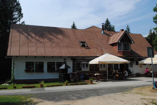 Motejlek