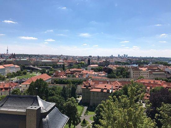 Svatovaclavska vinice
