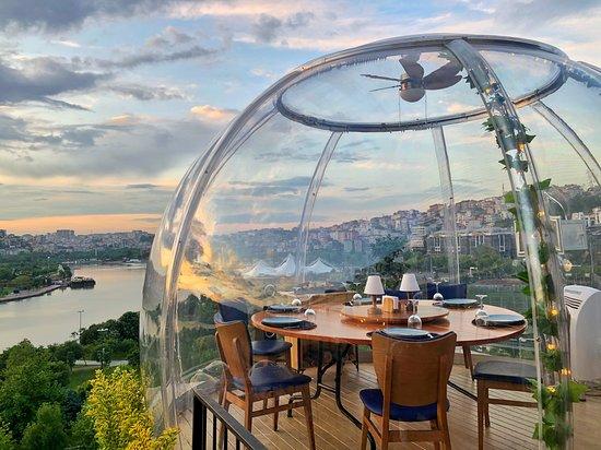 Turkce Meze