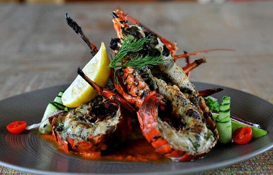 Why Not Seafood