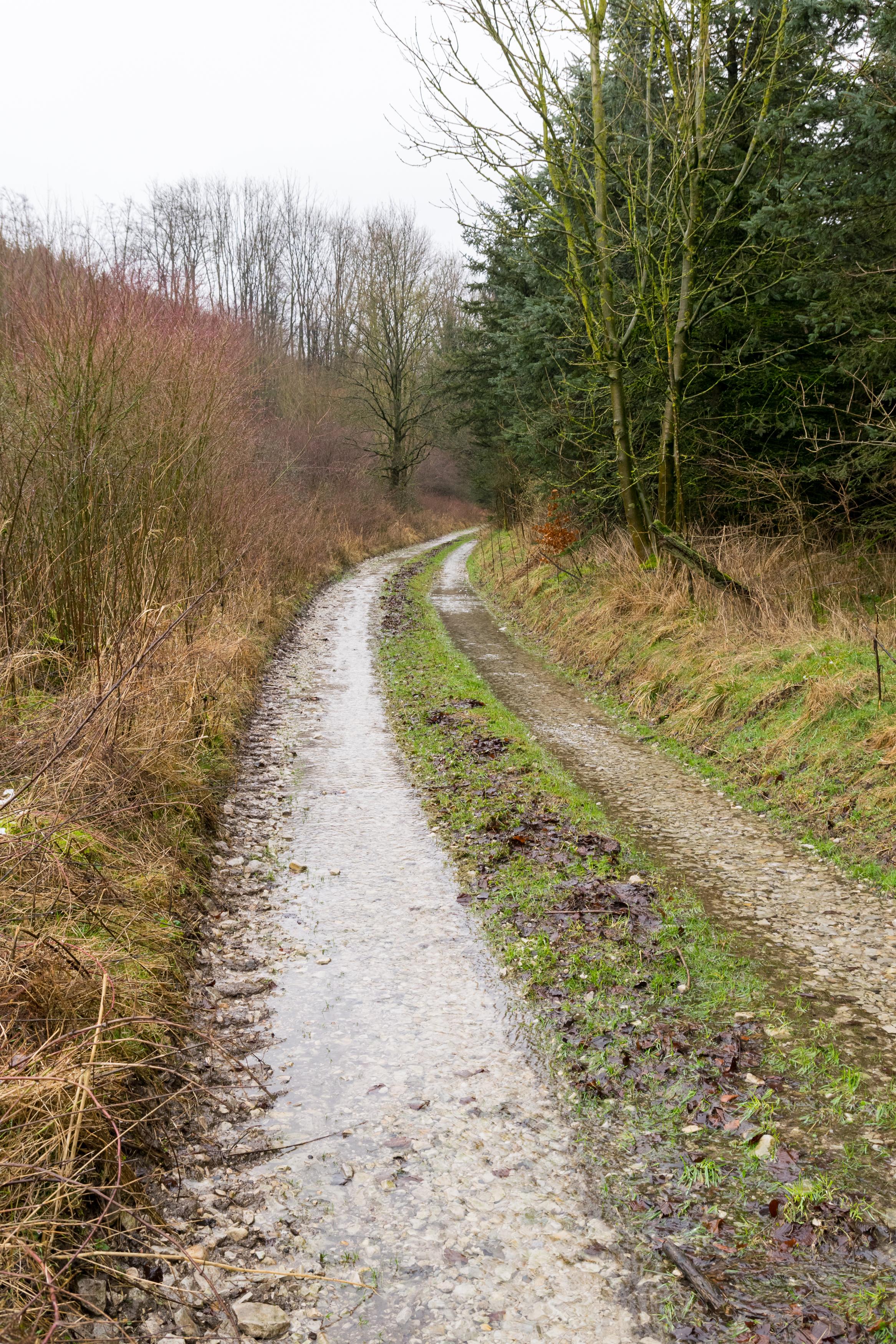 Steinbeke
