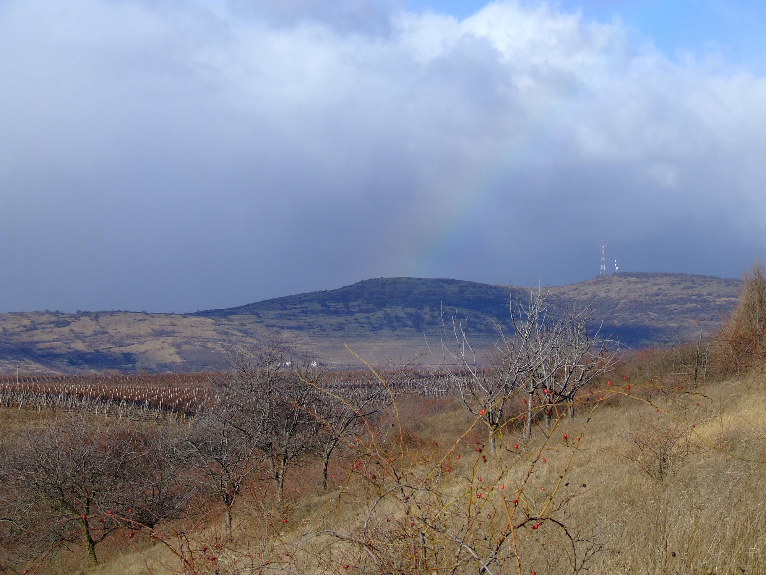 Sár-hegy