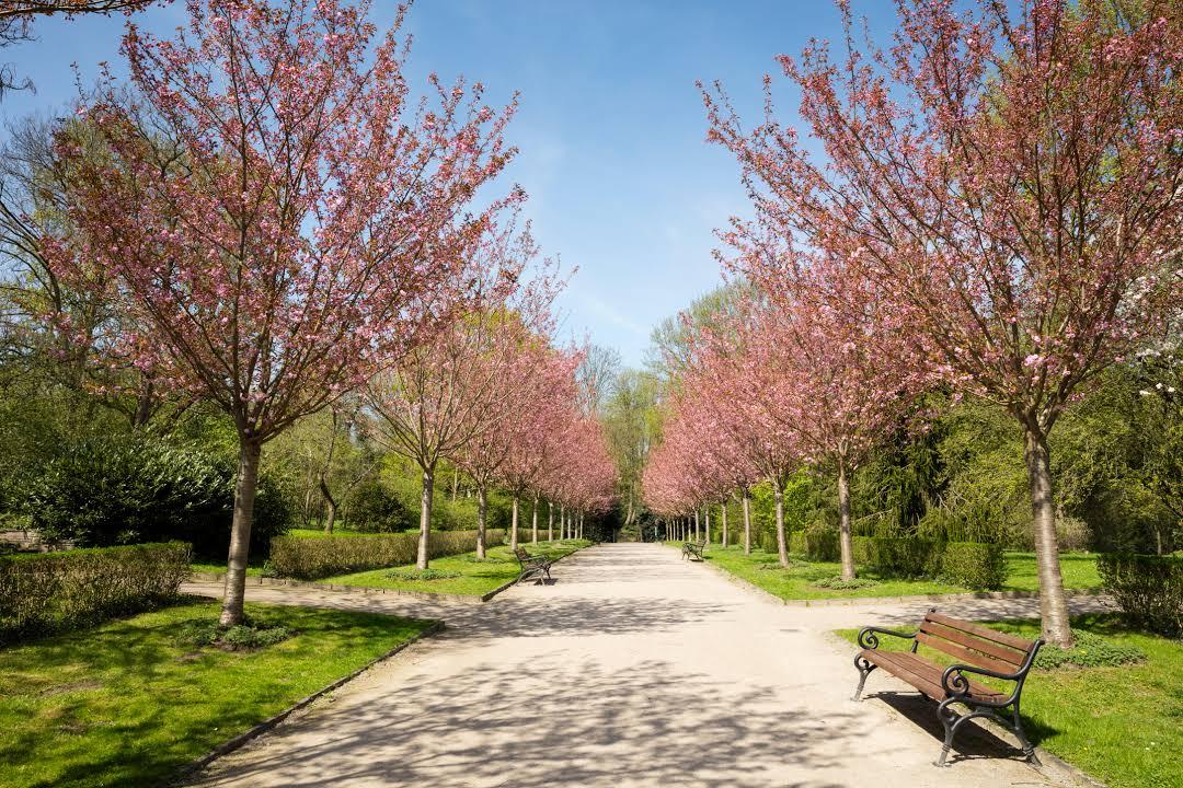 Rombergpark