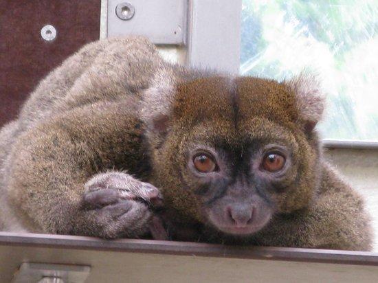 Kölner Zoo