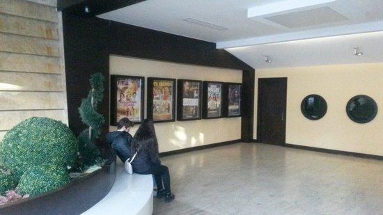 Avsar Cinema