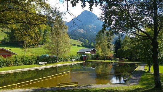 Moorbad Reichenbach