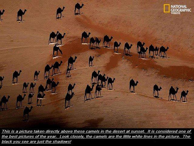 Stone-Tolan House Historic Site