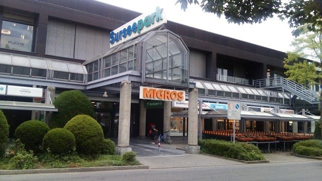 Surseepark