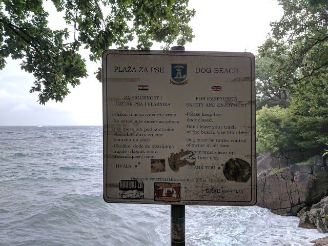 Dog Beach