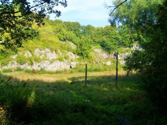 Kalkberg