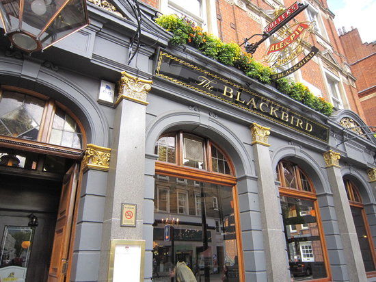 The Blackbird