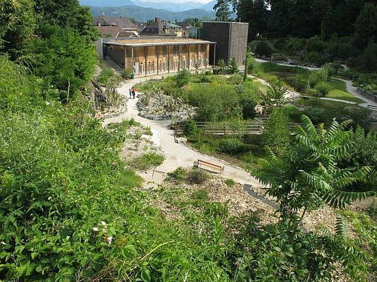 Botanischer Garten