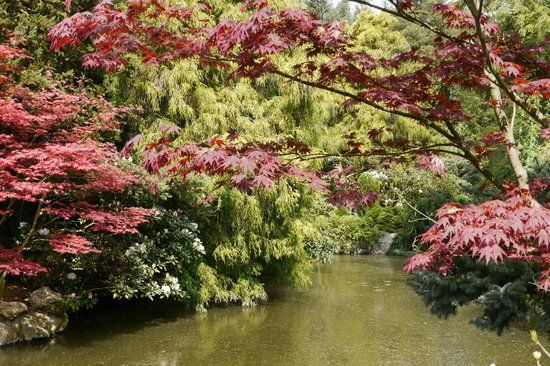 Meditation Garden