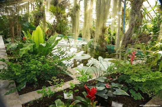 Botanischer Garten