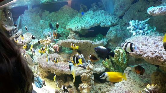 Ozeanarium