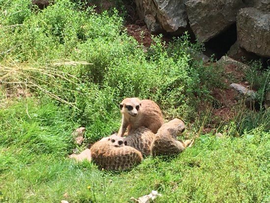 Tierpark Suhl