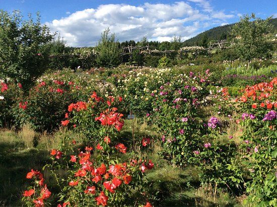Giardino della Rosa