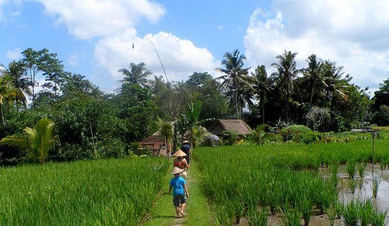 Bali Agritours