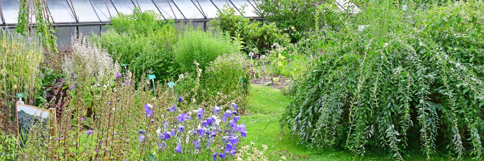 Botanischer Garten