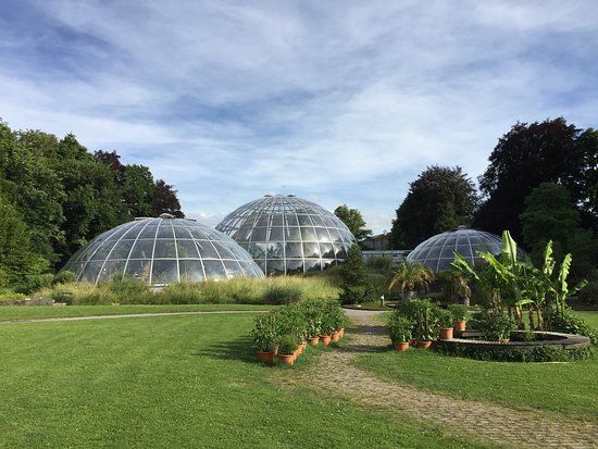 Botanischer Garten Zürich