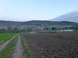 Spessartskopf