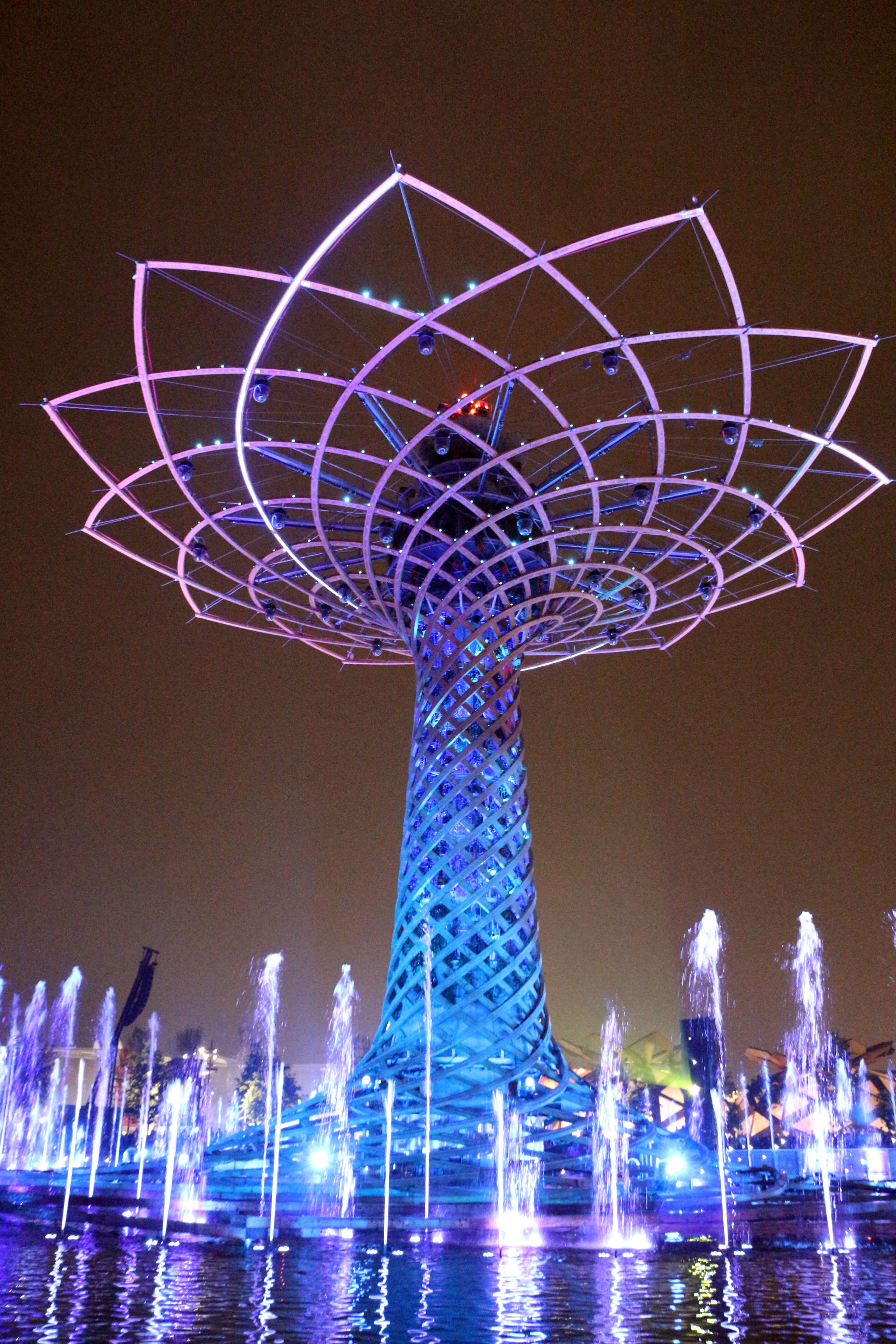 Tree of Life