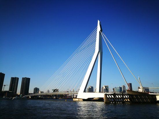 Erasmusbrücke