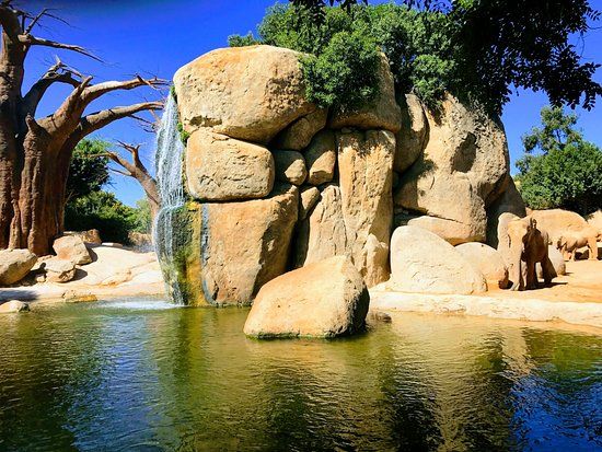 Valencia Bioparc