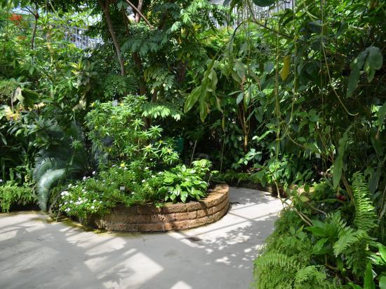 Botanischer Garten der Universität Leipzig